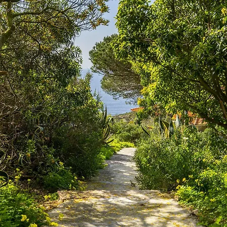 Vakantiehuis Whome Wilderness Escape: Secluded Haven For Remote Work Colares