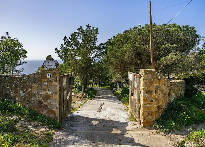 Whome Wilderness Escape: Secluded Haven For Remote Work Colares