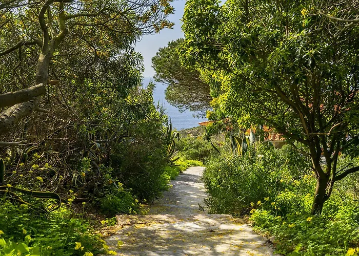 Vakantiehuis Whome Wilderness Escape: Secluded Haven For Remote Work Colares