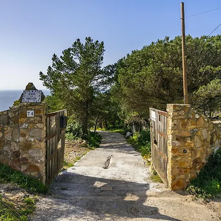 Whome Wilderness Escape: Secluded Haven For Remote Work Colares